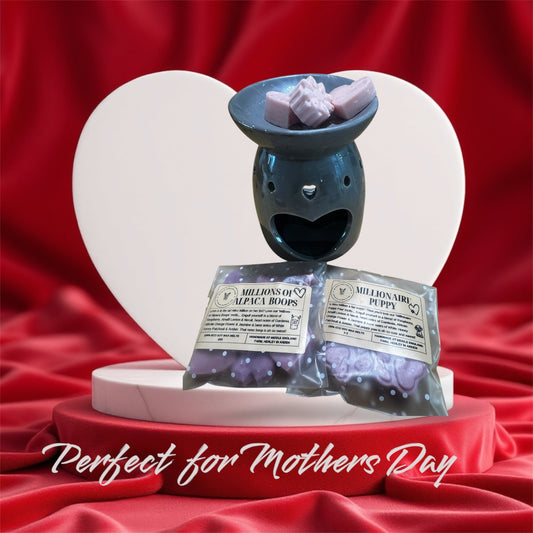 Beautiful wax melter with two packets of wax melts - perfect gift!