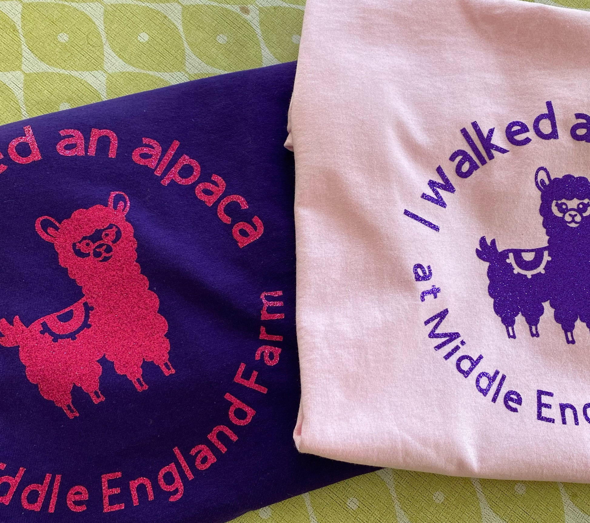 I Walked an Alpaca at Middle England Farm Printed T-Shirt - Children's and Adult Sizes