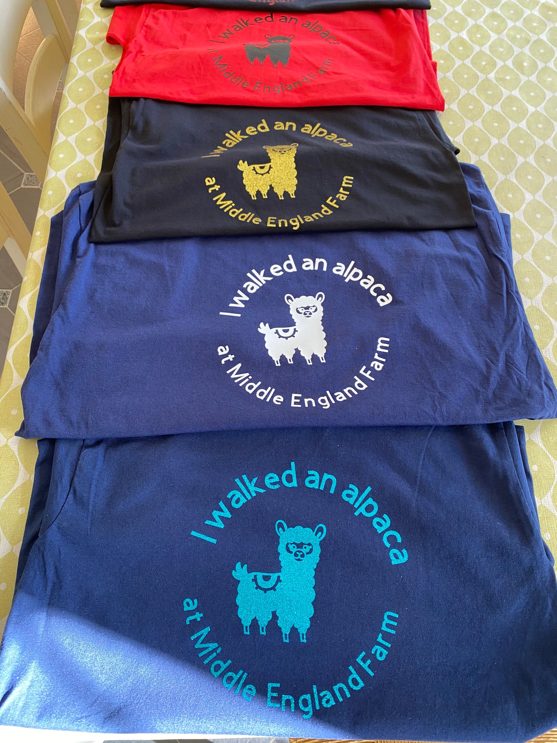I Walked an Alpaca at Middle England Farm Printed T-Shirt - Children's and Adult Sizes