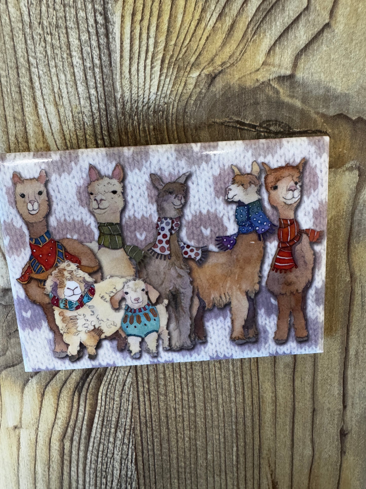 Alpacas and friends large magnet