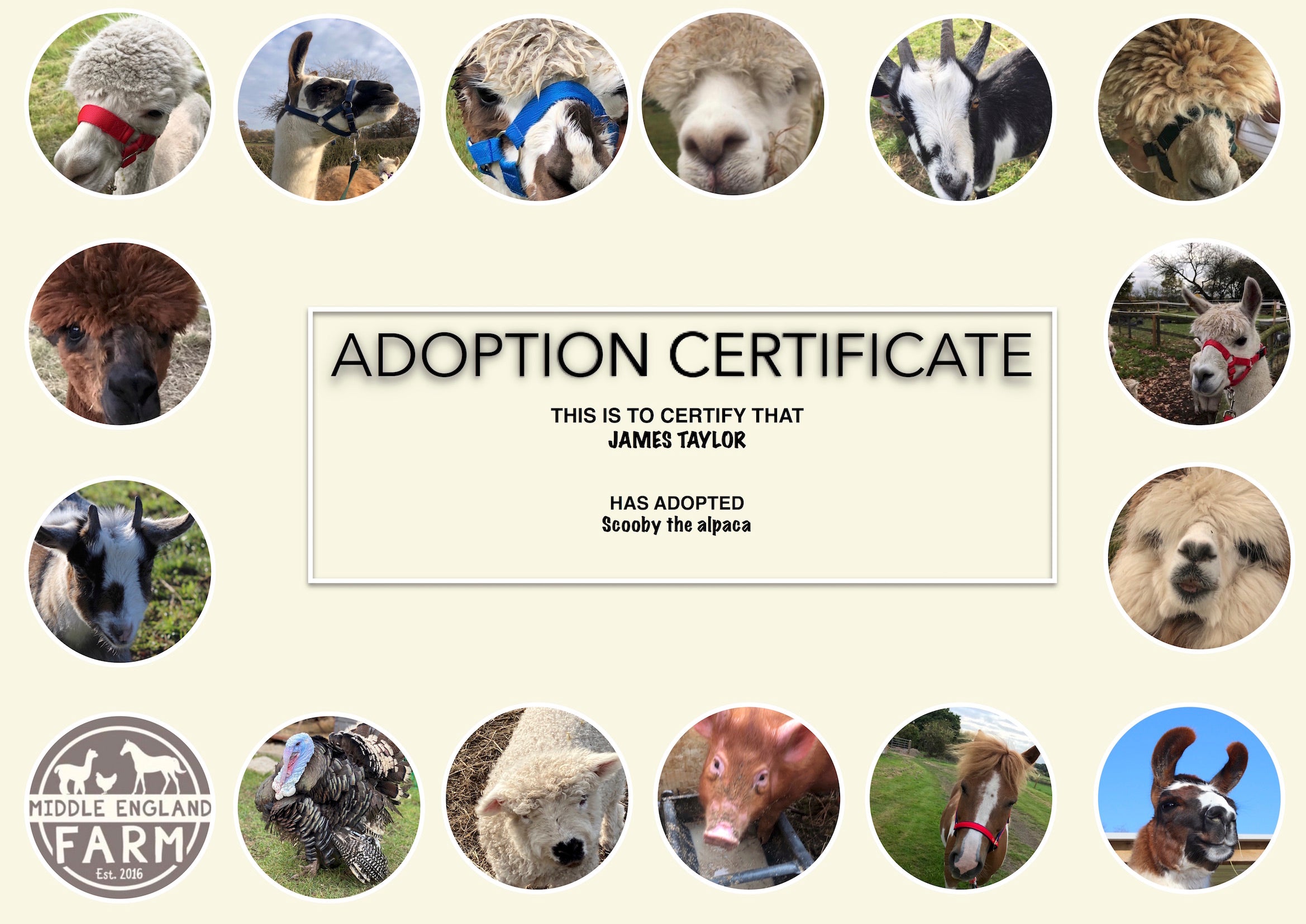 Purchase an Animal Adoption Pack from Middle England farm