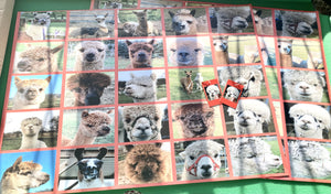 Alpaca A1 Christmas Gift Wrap Sheets and Gift Tags